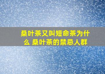 桑叶茶又叫短命茶为什么 桑叶茶的禁忌人群